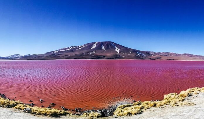 Laguna Colorado, Bolivia