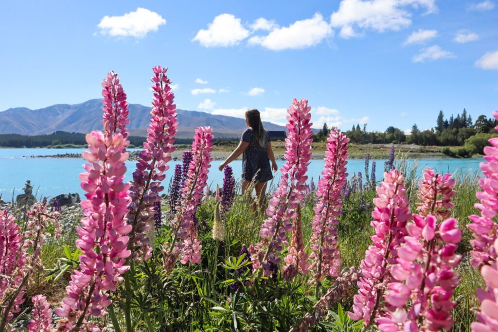 Lake Tekapo