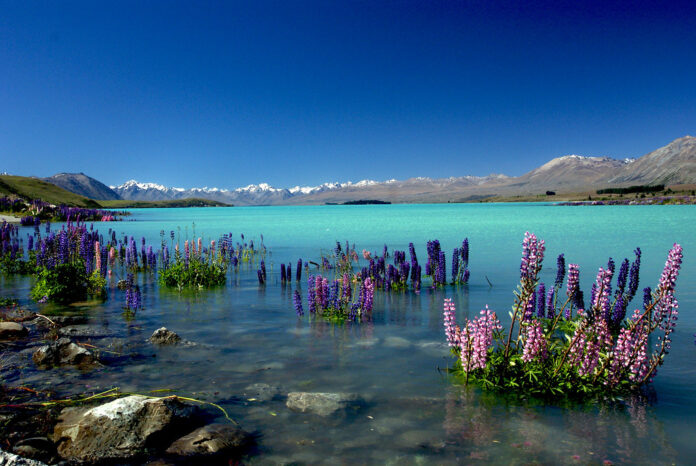 Lake Tekapo, New Zealand